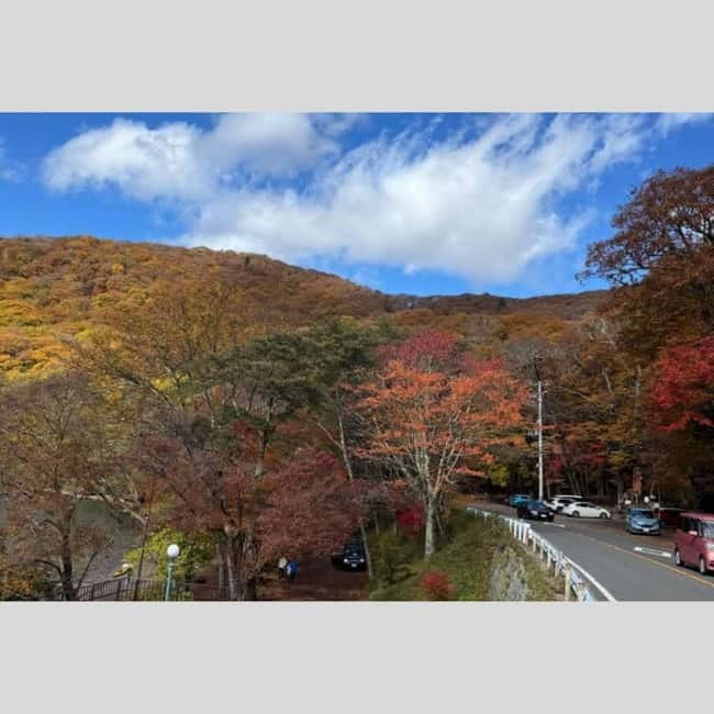 Tokyo: Nikko World Heritage Private Day Trip Hotel Pick-up - Shinkyo Bridge: a short stop that still feels iconic