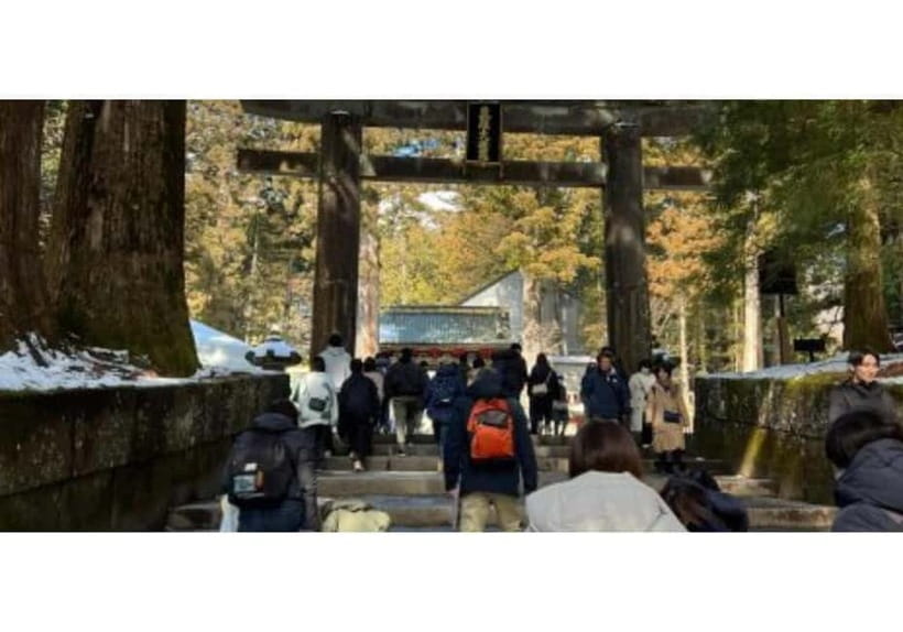 Tokyo: Nikko World Heritage Private Day Trip Hotel Pick-up - Toshogu Shrine: the main event, with time to actually look