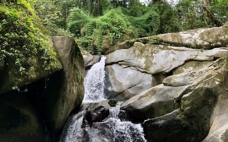 Trekking History and Indigenous Heritage in Minca + Cacao & Coffee + Waterfall - The Cabanas Bosque Cacao Stop: Coffee and Cacao with Meaning
