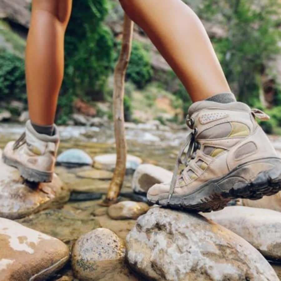 Trekking History and Indigenous Heritage in Minca + Cacao & Coffee + Waterfall - The Trek Itself: Nature, Traditional Practices, and Ecological Clues