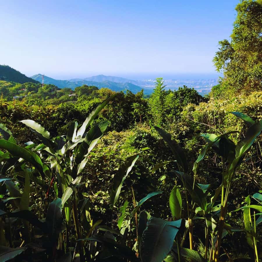 Trekking History and Indigenous Heritage in Minca + Cacao & Coffee + Waterfall - Included vs. Not Included: The Practical Stuff That Saves You Money