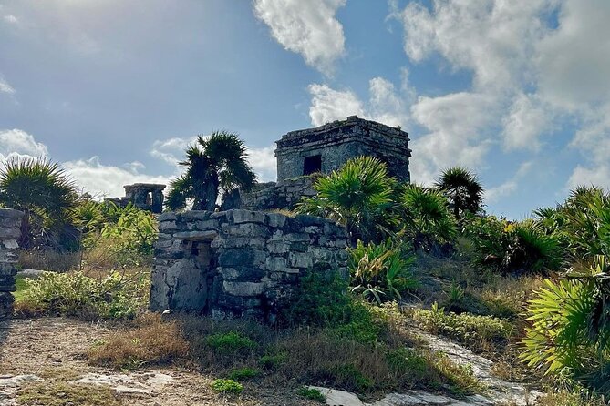 Tulum Excursion: Ancient Ruins + Cenote & Food! From Riviera Maya - Should you book this Tulum + Cenote Jaguar tour?