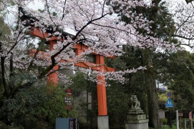 Uji: UNESCO Heritage & Tea Ceremony Walking Tour - Byodo-in Temple: the UNESCO stop you’ll actually understand