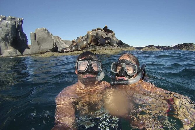 UNESCO World Heritage Site: 1 Day Coronado Island from Loreto Adventure - Isla Carmen: Your UNESCO Stop, Sea Lions, and the First Snorkel