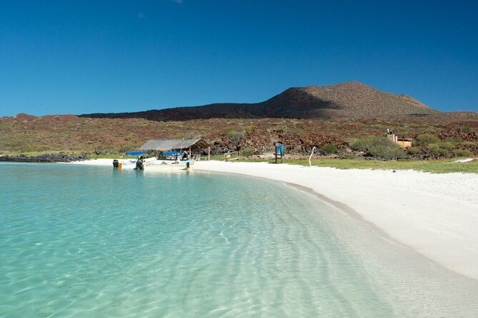 UNESCO World Heritage Site: 1 Day Coronado Island from Loreto Adventure - Lunch on the Beach: Simple, Filling, and Actually Good