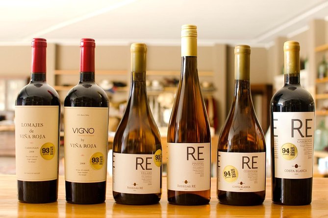 Valparaiso & Casablanca : Wine, Gastronomy and Living Culture - Valparaíso on Foot: Paseo Gervasoni Gets You Oriented Fast