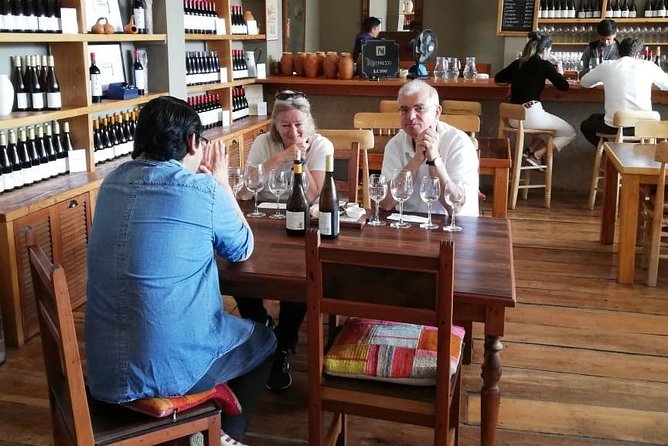 Valparaiso & Casablanca : Wine, Gastronomy and Living Culture - Ascensor Concepción: One Included Ride, Big Payoff Views
