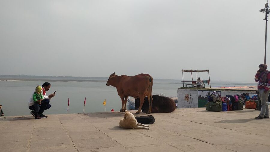 Varanasi Walking and Heritage Tour - Dharmeshwar Mahadev Temple: Kashi Khand in Miniature