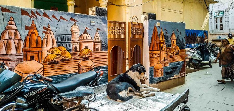 Varanasi Walking and Heritage Tour - Shri Kashi Vishwanath Temple Corridor: Architecture That Teaches