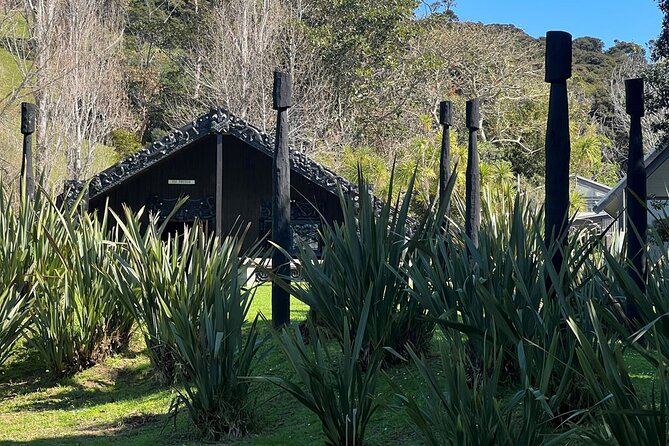 Waiheke Island History and Heritage Tour - Why Waiheke feels different when you start with Māori voices