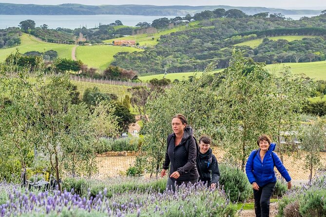 Waiheke Island History and Heritage Tour - Piritahi Marae and the meaning behind carving and tattooing