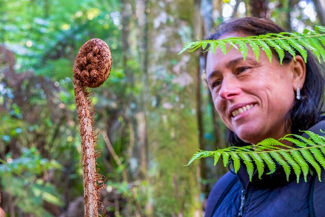 Waiheke Island History and Heritage Tour - Native bush walk: medicinal plants and bird-spotting tips