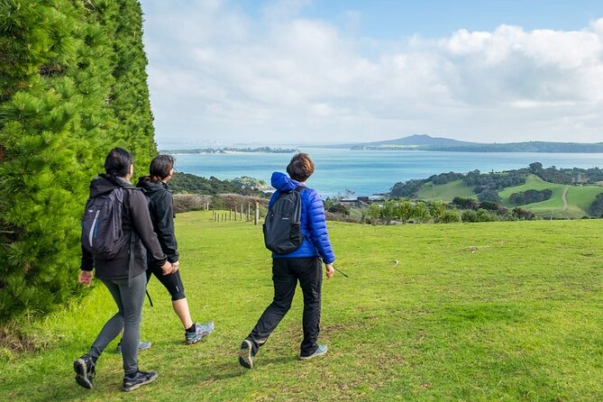 Waiheke Island History and Heritage Tour - Price, timing, and whether $381.65 feels fair