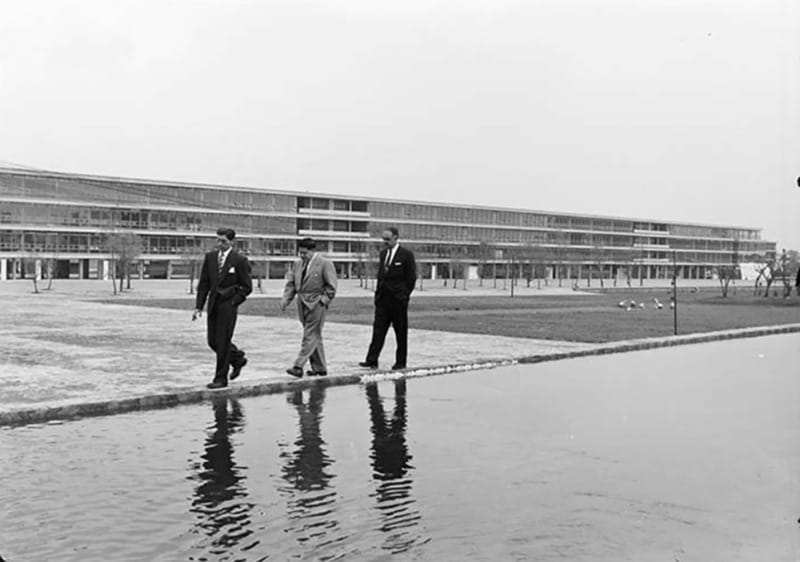 Walk around UNAM campus, a UNESCO World Heritage Site - Practical Tips: Rain, Shoes, Toilets, and the 4 km Walk