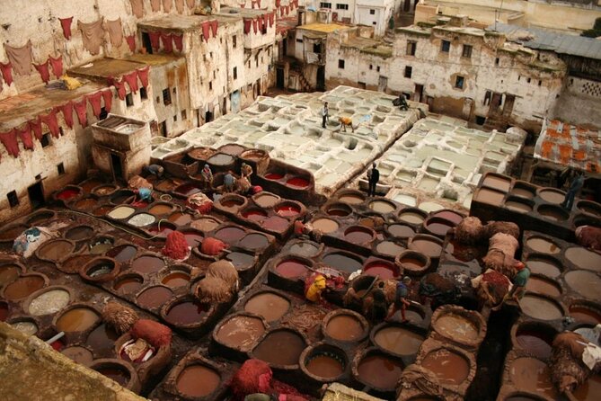 walking day : private excursion in the ancient city of Fez - Key things that make this Fez walking day work