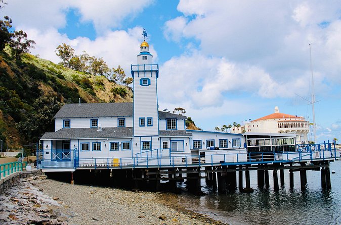 Walking History Tour on Catalina Island - Pace, group size, and how the guide keeps it fun