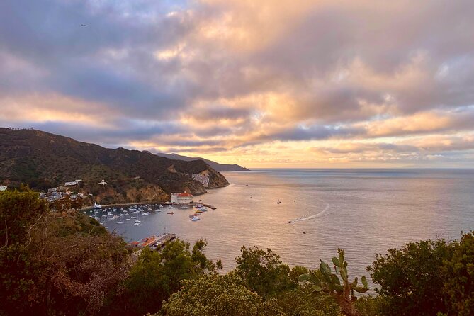 Walking History Tour on Catalina Island - Price and value: why $40 works here (and where it might not)