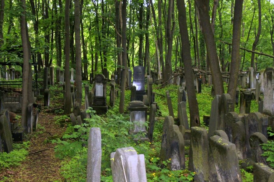 Warsaw Jewish Heritage Private Tour in Retro Fiat - Ghetto Heroes Monument: facing memory in public space