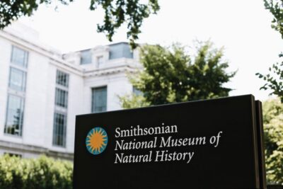 Washington DC: National Museum of Natural History Tour - The gems: Hope Diamond and Dom Pedro Aquamarine with real context