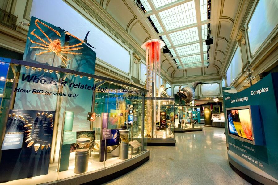 Washington DC: National Museum of Natural History Tour - What’s included (and what isn’t) so you don’t over-plan