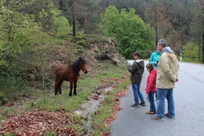 Waterfalls, Heritage and Nature in Gerês Park - from Porto - Trilho da Geira: walking the Roman path