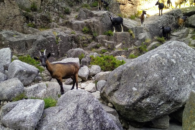 Waterfalls, Heritage and Nature in Gerês Park - from Porto - Lagoas Naturais Fafião / Retiro do Geres: the crystalline water stop