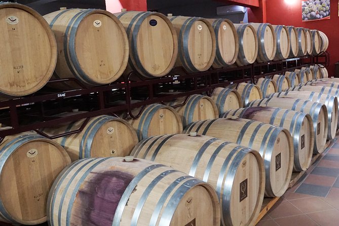 Wine Roads Private Day Tour: Corinth - Ancient Nemea & Wine Tasting - Temple of Apollo and the quick photo stop philosophy