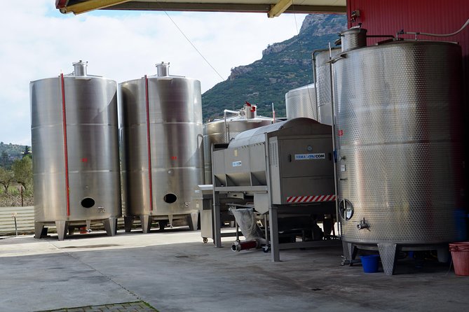 Wine Roads Private Day Tour: Corinth - Ancient Nemea & Wine Tasting - Akrokorinthos Castle: 20 minutes for big photos