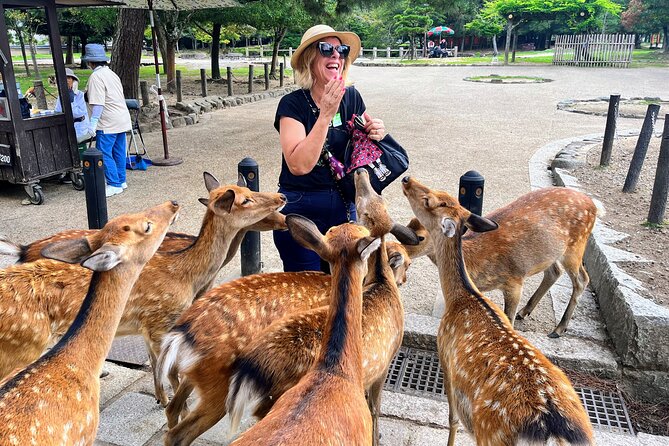 World Heritage Kyoto & Nara Uji Authentic Matcha Experience - The big idea: a single coach day that actually feels efficient